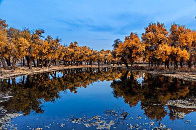 Steam喜加一：肉鸽打牌游戏《Hardest》限免即将结束！